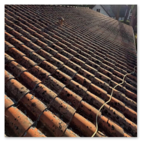 Nettoyage Terrasse Saujon